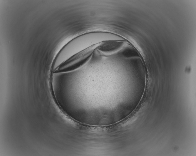 X0000090900901200708201715