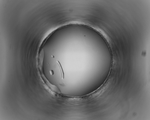 X0000090900902200708201715