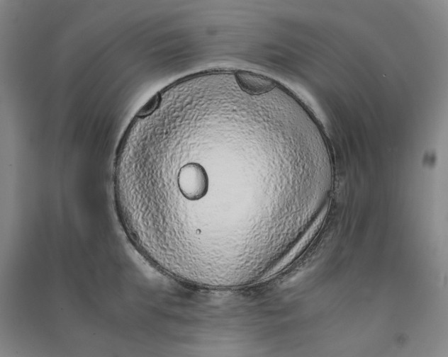 X0000090900903200708201715