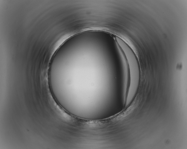 X0000090900906200708201715