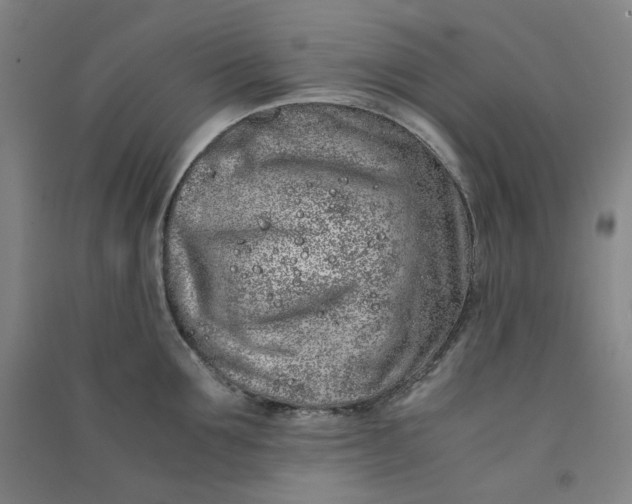 X0000090900907200708201715