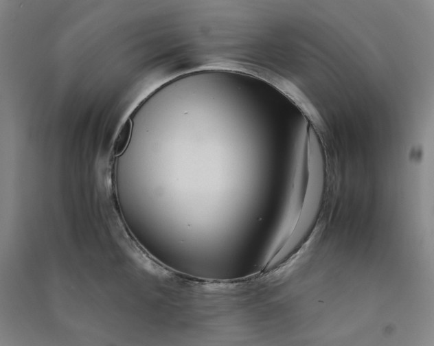 X0000090900908200708201715