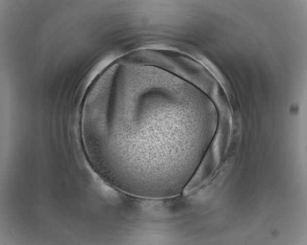 X0000090900909200708201715