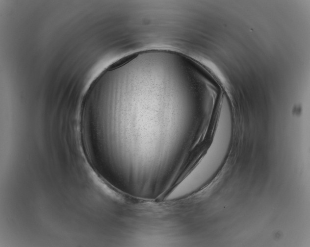 X0000090900910200708201715