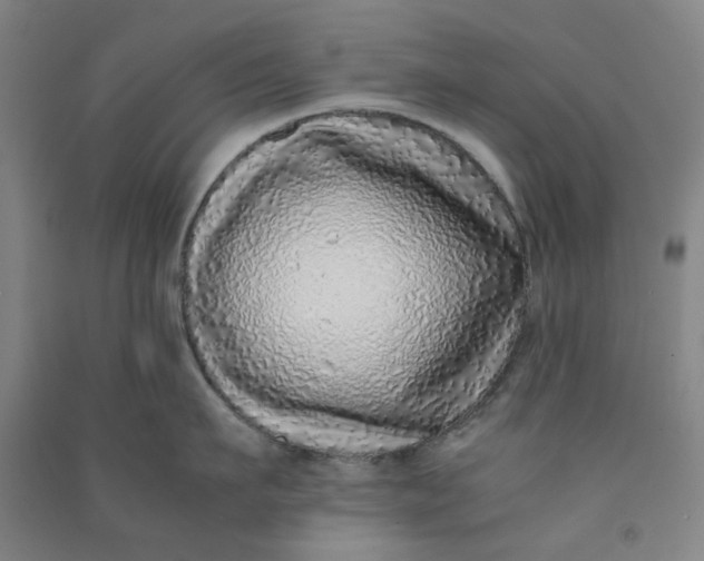 X0000090900911200708201715