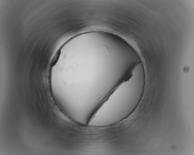 X0000090900912200708201715