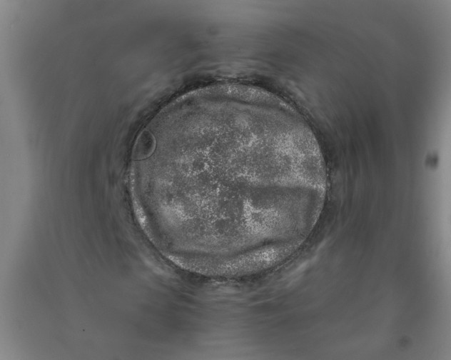 X0000090900913200708201714