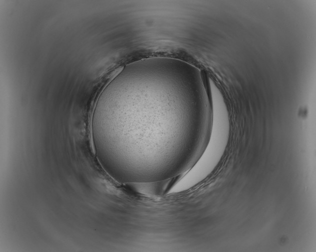 X0000090900916200708201714