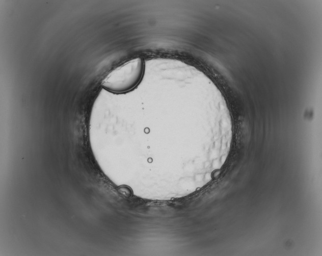 X0000090900918200708201714