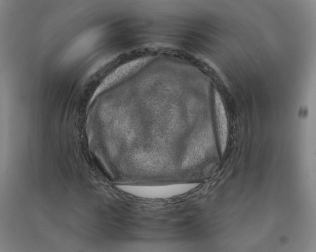 X0000090900919200708201714