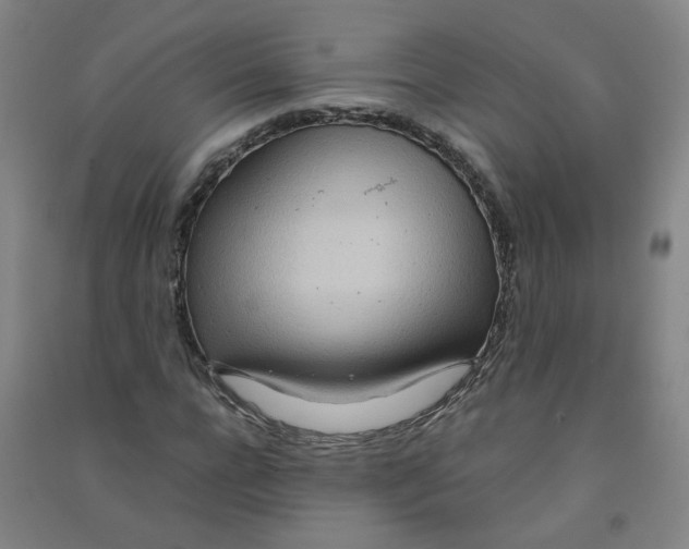 X0000090900920200708201714