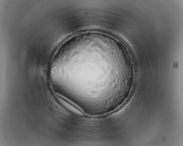 X0000090900921200708201714