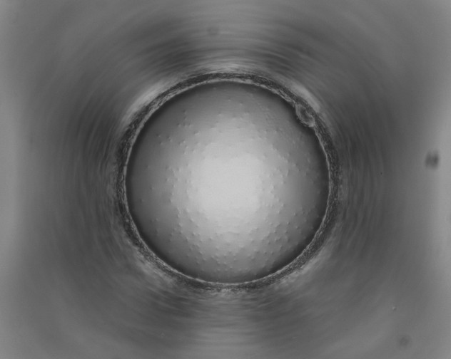 X0000090900922200708201714