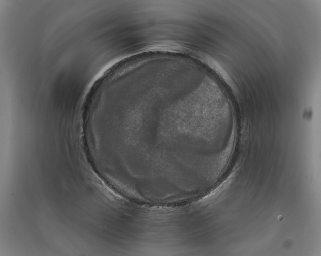 X0000090900923200708201714