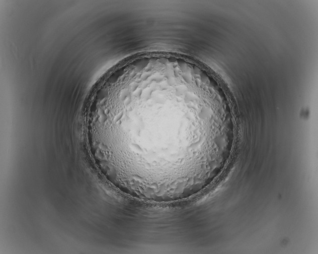 X0000090900925200708201714