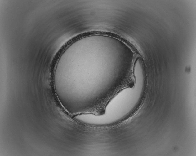 X0000090900926200708201714