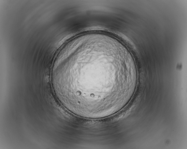 X0000090900929200708201714