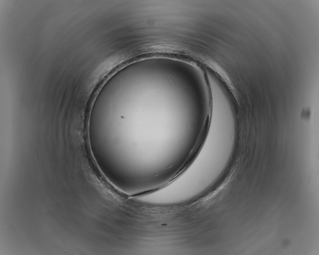 X0000090900930200708201714