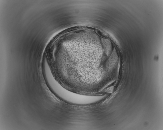 X0000090900932200708201714