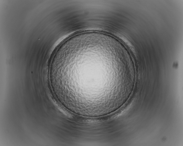 X0000090900933200708201714