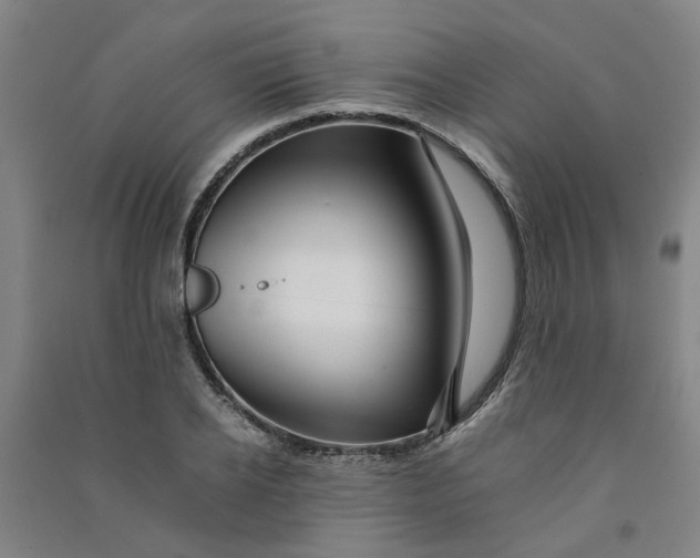 X0000090900934200708201714