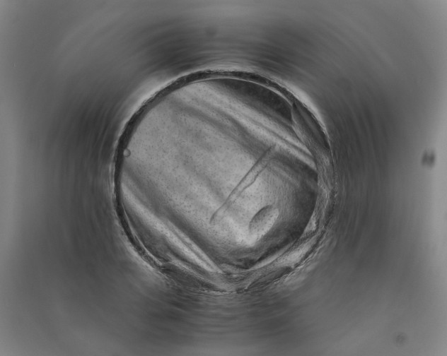 X0000090900935200708201714