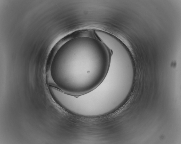 X0000090900936200708201714