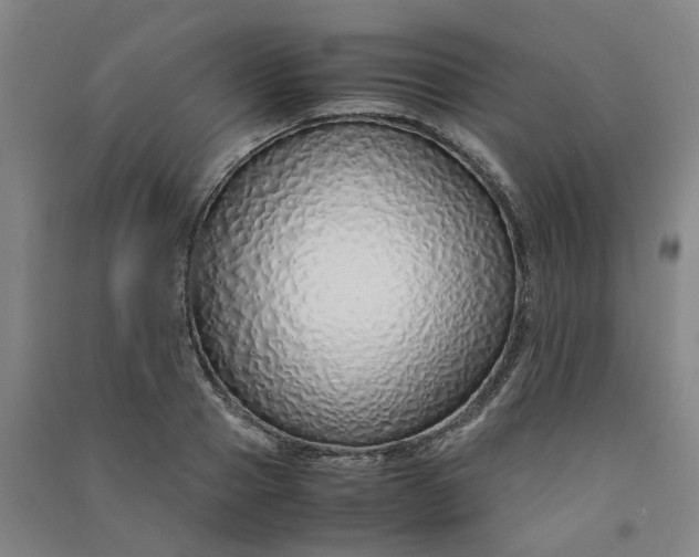 X0000090900937200708201714