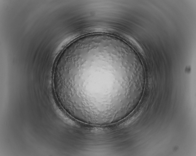 X0000090900938200708201714