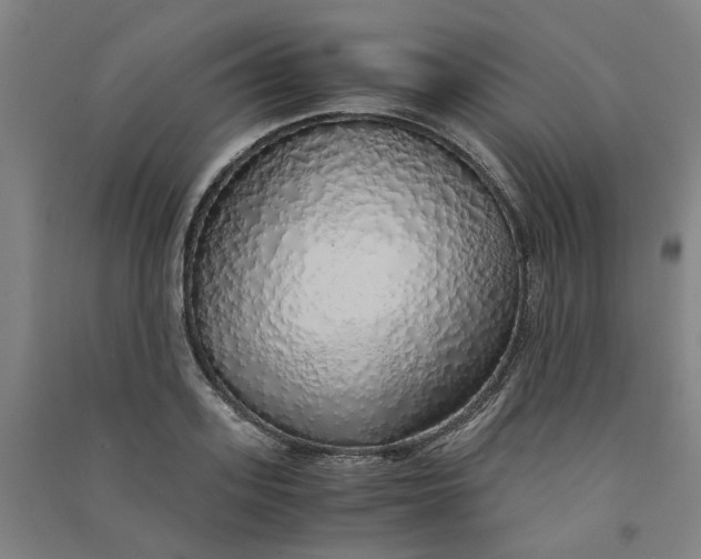 X0000090900939200708201714