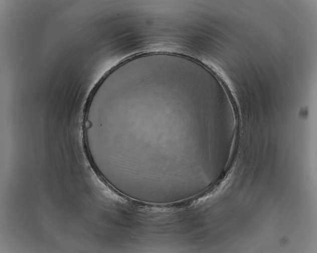 X0000090900941200708201714