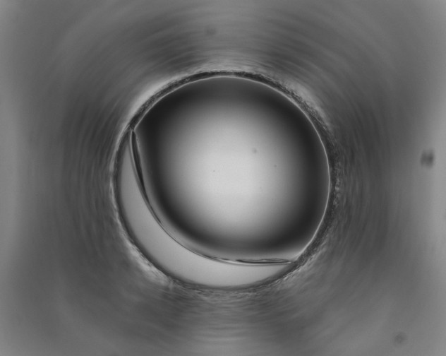 X0000090900942200708201715