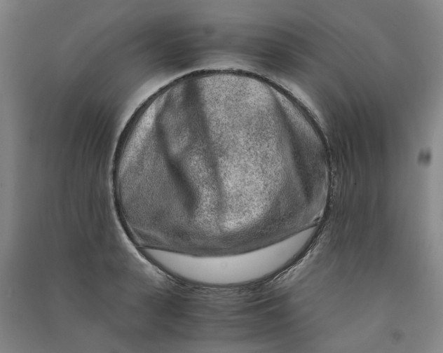 X0000090900943200708201715