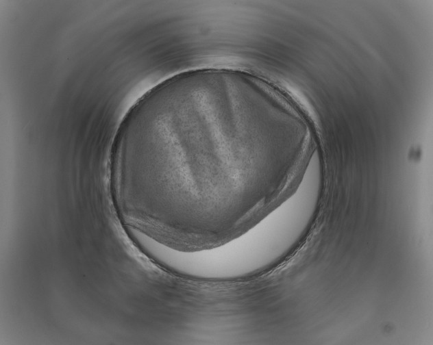 X0000090900944200708201715