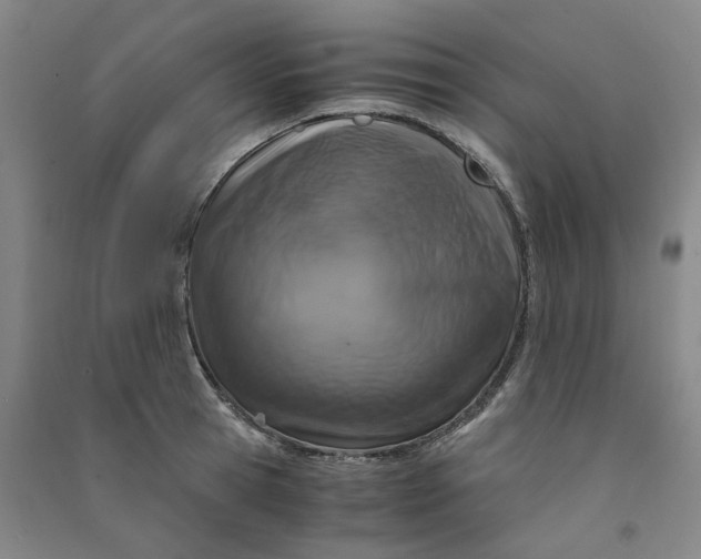 X0000090900945200708201715