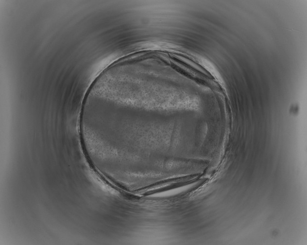 X0000090900946200708201715