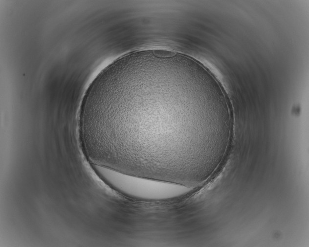 X0000090900949200708201715