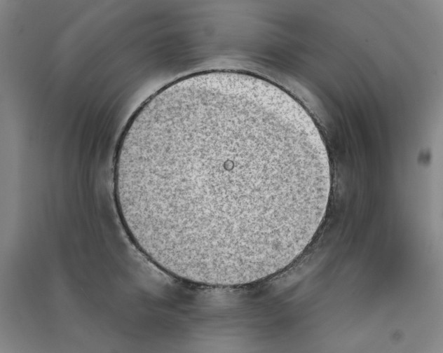 X0000090900950200708201715