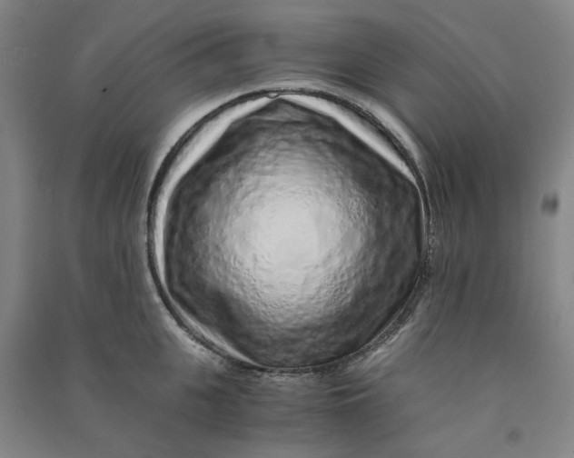 X0000090900951200708201715