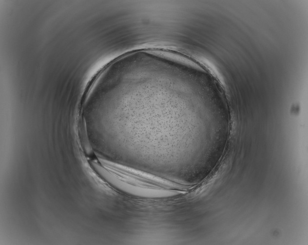 X0000090900952200708201715