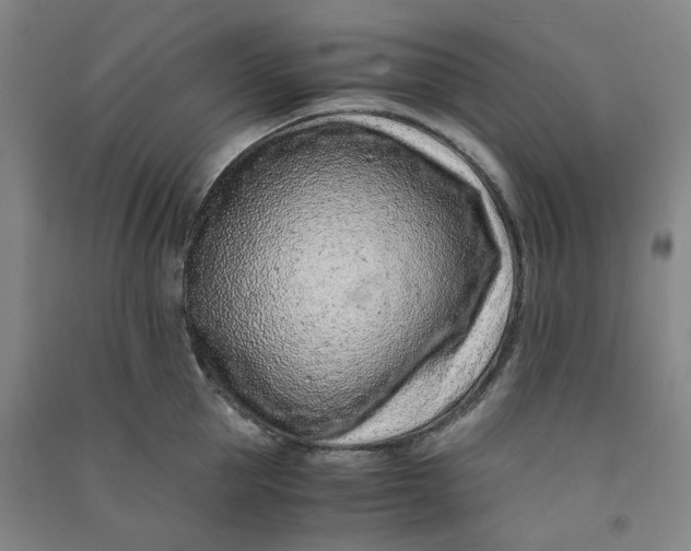 X0000090900953200708201715