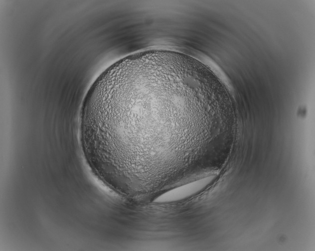 X0000090900955200708201715