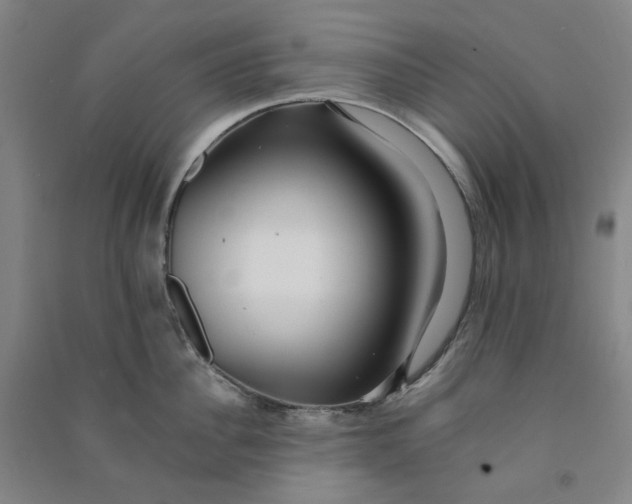 X0000090900956200708201715