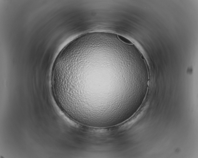 X0000090900957200708201715