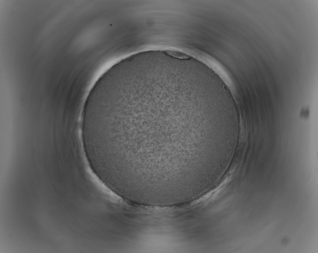 X0000090900958200708201715