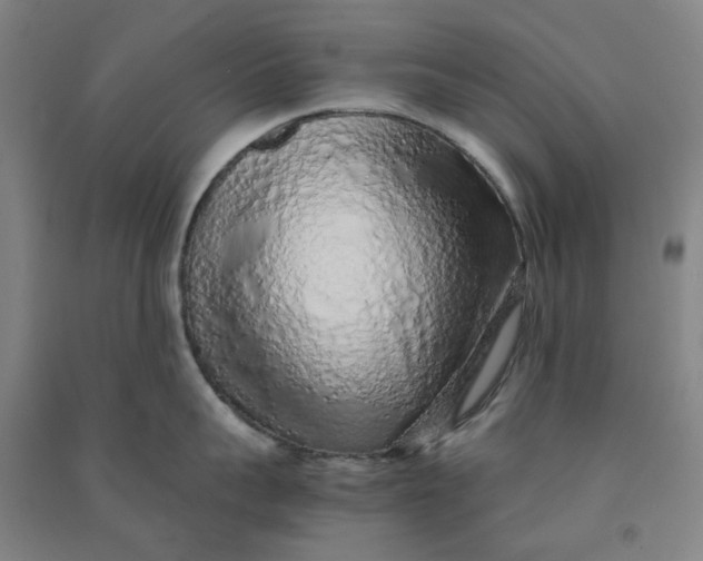 X0000090900959200708201715