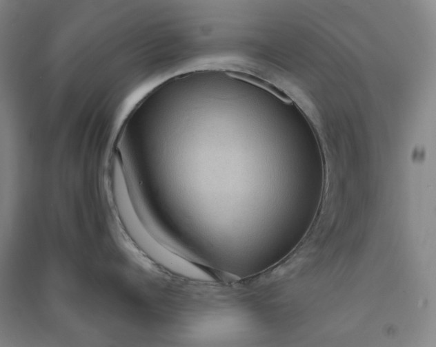 X0000090900960200708201715