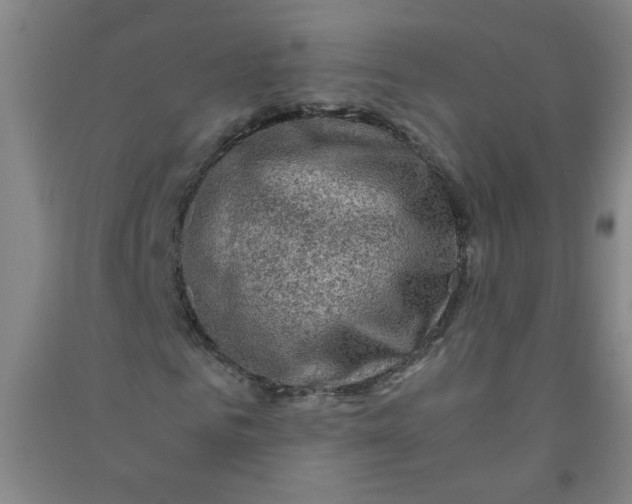 X0000090900961200708201714