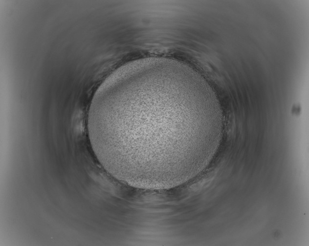 X0000090900962200708201714