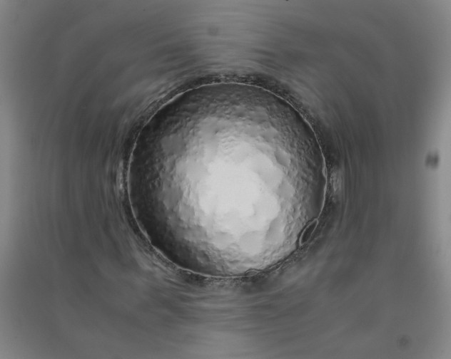 X0000090900963200708201714